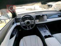 بي واي دي سيل 06 DM-i